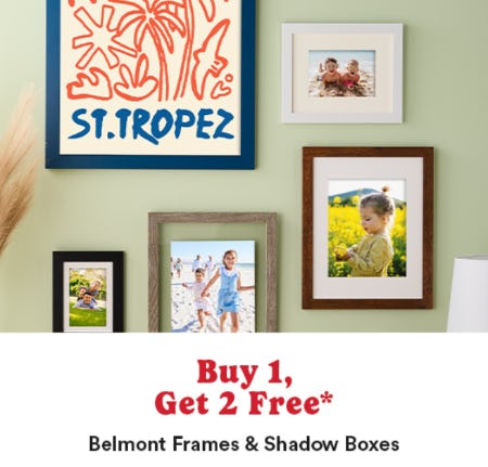 Buy 1, Get 2 Free Belmont Frames & Shadow Boxes