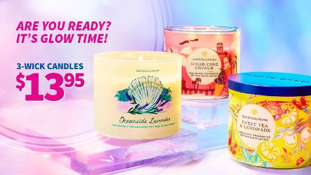 3-Wick Candles $13.95