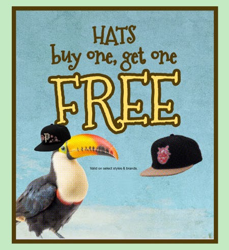 Hats Buy One, Get One Free