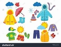 Seasonal Fashions