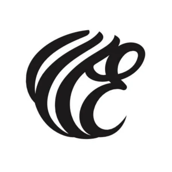 Erin Salon Logo