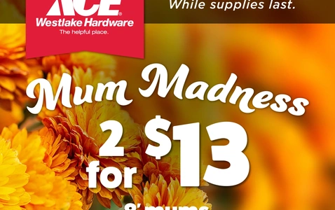 Mum Madness at Westlake Ace Hardware thumbnail