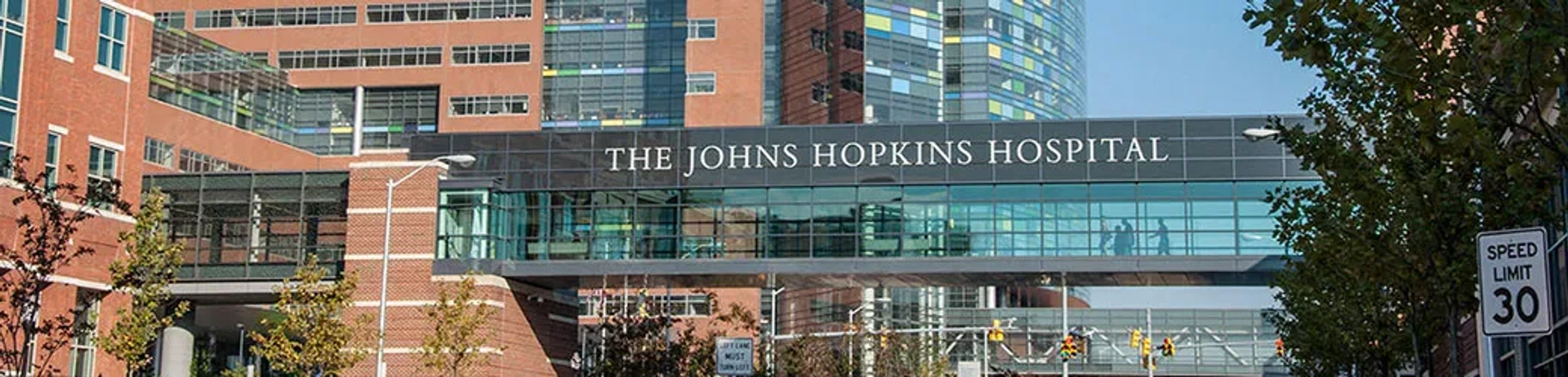 JOHNS HOPKINS THE JOHNS HOPKINS CONNECTION