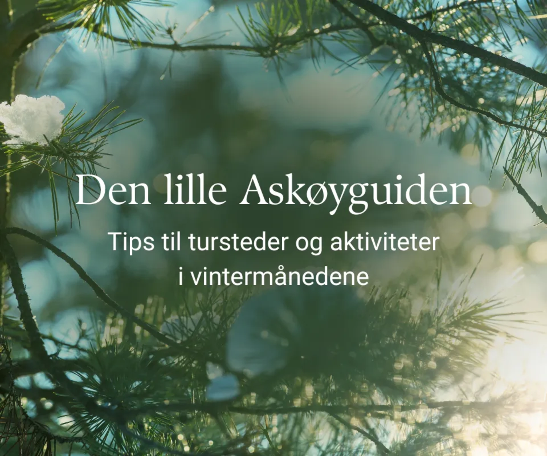 Den lille Askøyguiden: Ting å gjøre på kalde vinterdager Trenger du inspirasjon til hyggelige aktiviteter i vintermånedene? 