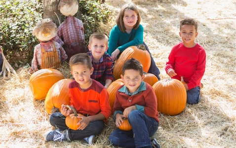 Our Kids World Fall Fest thumbnail