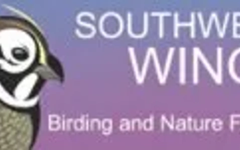 Southwest Wings Birding and Nature Summer Festival 2025