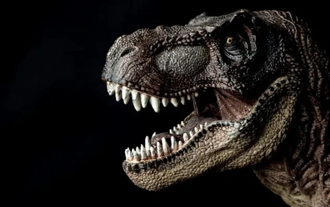 Dino Day at the Museum thumbnail