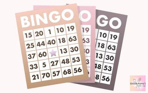 Family Fun Bingo Night