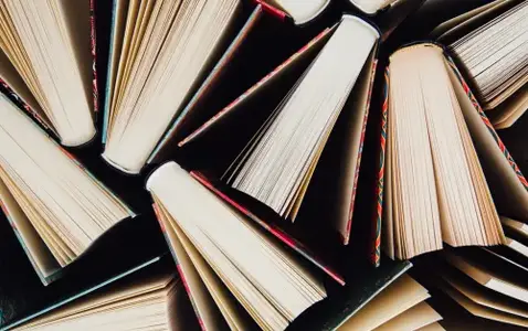 Adult Book Swap thumbnail