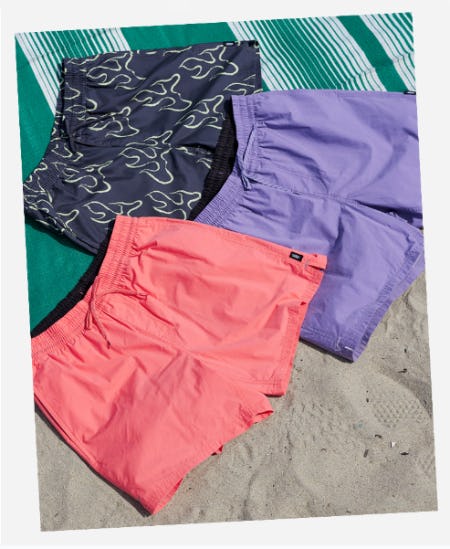 Beach Day & Beyond