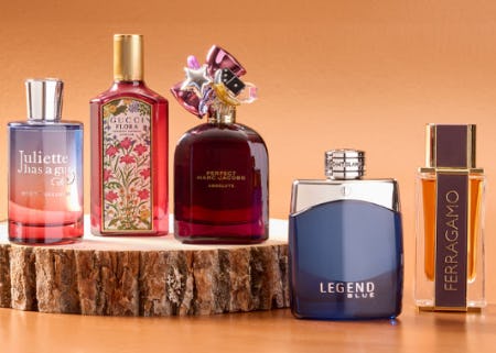 Warm Up to Fall's Cozy Aromas