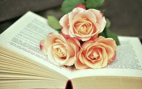 Blind Date with a Book thumbnail