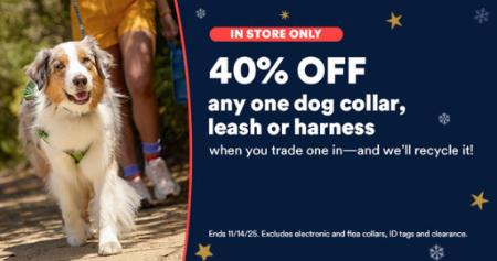 40% Off Any One Dog Collar, Leash or Harness