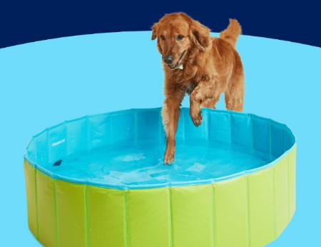 Your Pet’s Ultimate Summer Prep