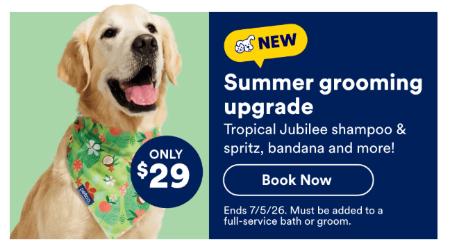 Only $29 Summer Grooming Upgrade