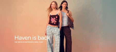 Haven Is Back