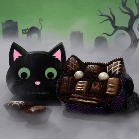 Meet Our Purr-fect Treat Box