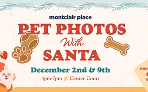 Pet Photos with Santa