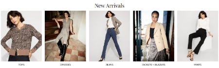 Shop New Arrivals