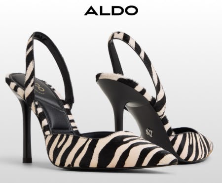 Spotlight On: Zebra Print