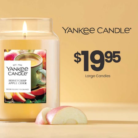 $19.95 Large Candles
