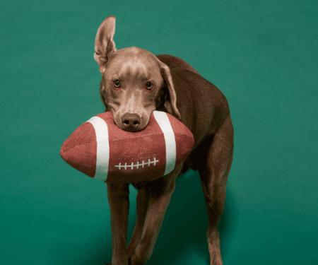 Gear Up Like A Baller