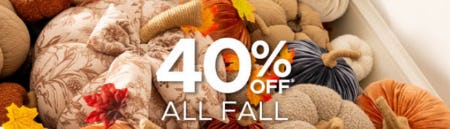 40% Off All Fall