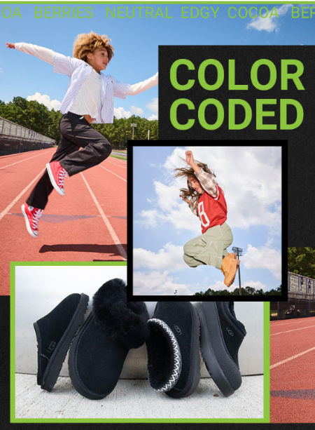 Fall Hues Decoded