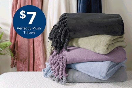$7 Perfectly Plush Throws