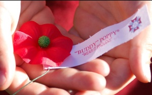 VFW Post 2031 - Buddy Poppy Give-a-Way