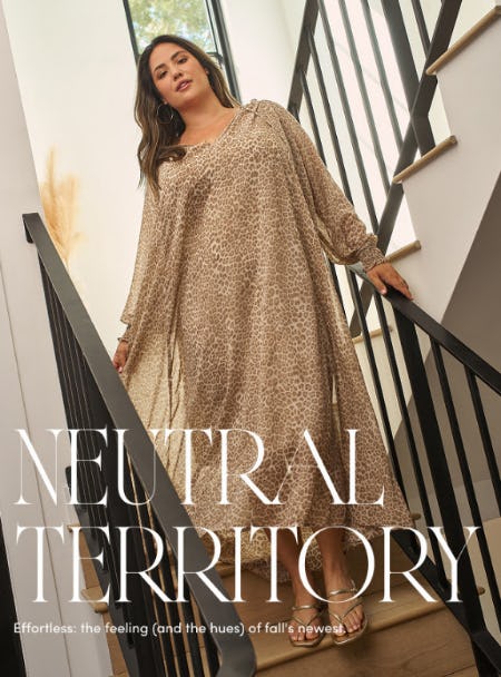 New Edit: Step Into Neutral Territory