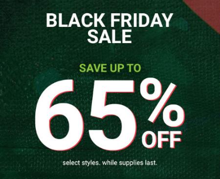 Black Friday Sale