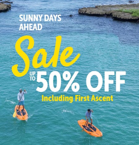 Sale Up to 50% Off