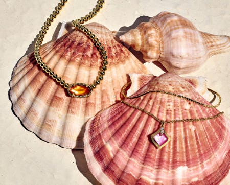 Elegant Essentials