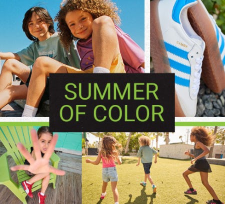 Dive Into the Summer of Colors