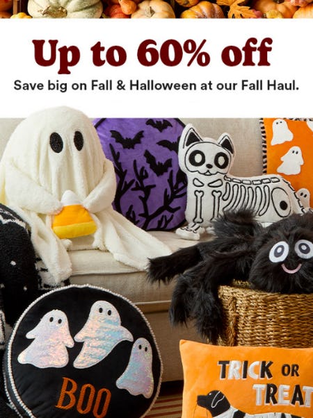 Up to 60% Off Fall & Halloween Décor