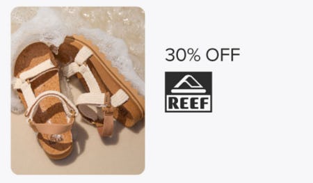 30% Off Reef