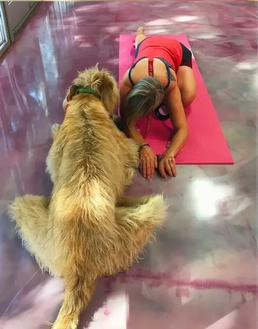 Pilates with Puppies! 