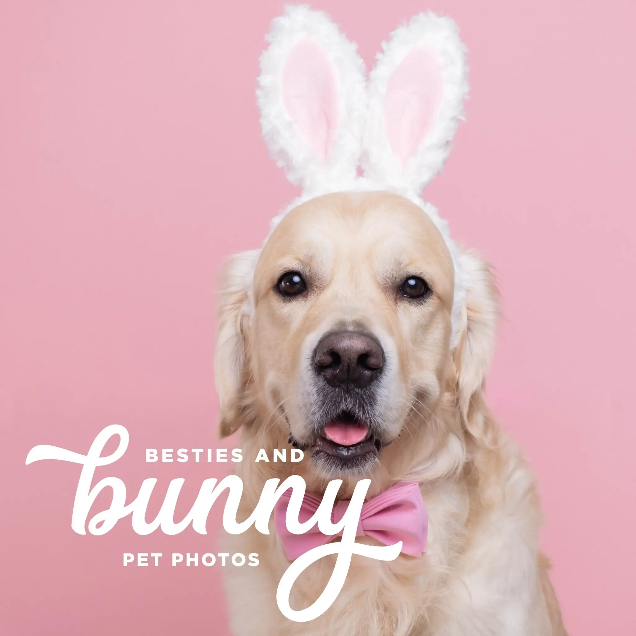 Besties & Bunny (pet photos with Bunny)