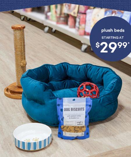 Plush Beds Starting at $29.99