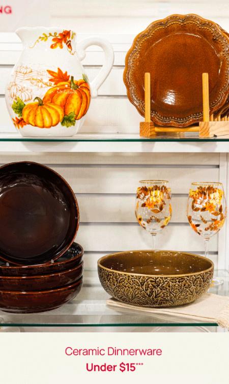 Ceramic Dinnerware Under $15