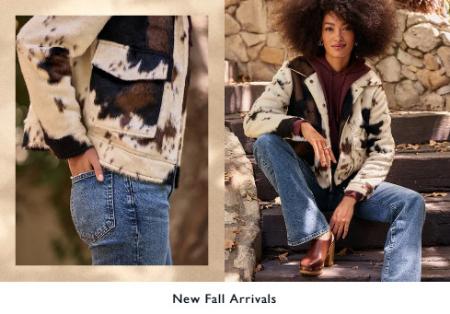 New Fall Arrivals