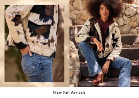 New Fall Arrivals