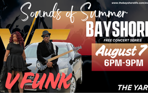 Sounds of Summer: V-FUNK
