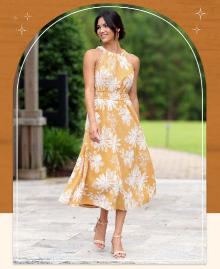 Limited Edition: Cato Collection