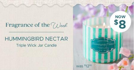 Hummingbird Nectar Triple Wick Jar Candle Now $8
