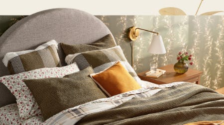 Welcome to Cozy Season