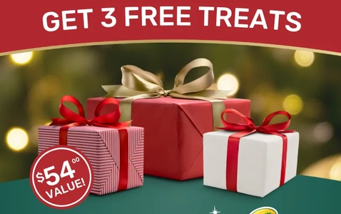 Photos with Santa