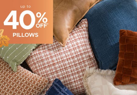 Up to 40% Off Pillows