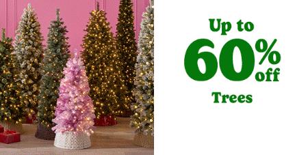 Up to 60% Off Trees